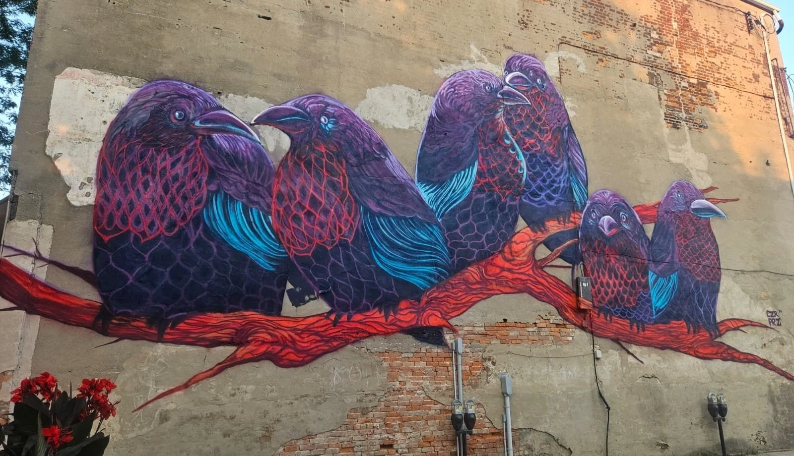 Murals by Czr Prz (Caesar Perez) | International Muralist Based in